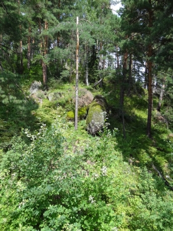 Медведь