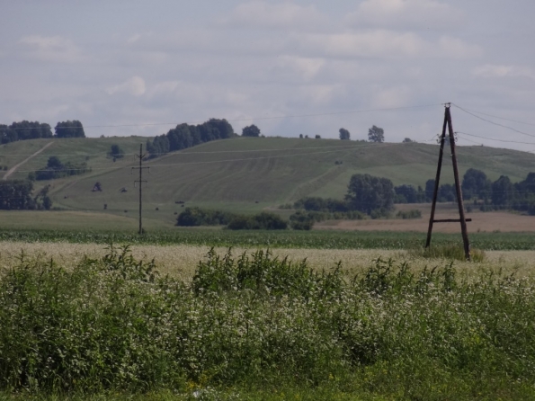 Сростки, Шукшинские места