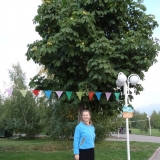 Аллея каштанов