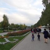 В парке много красивых клумб и разных деревьев со всего мира