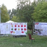 Алма-Ата = Отец Яблок