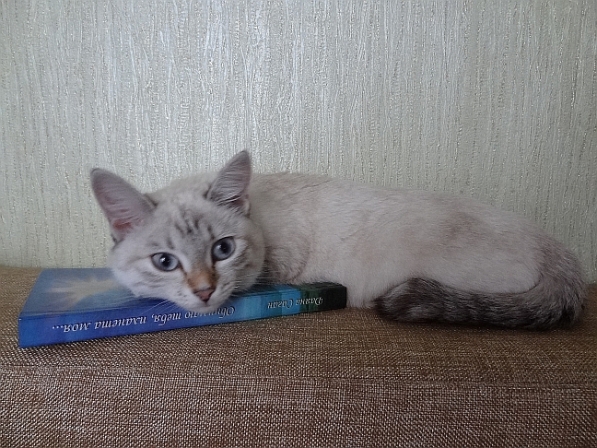 "Читает" книгу...