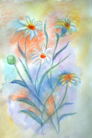 Ромашки)