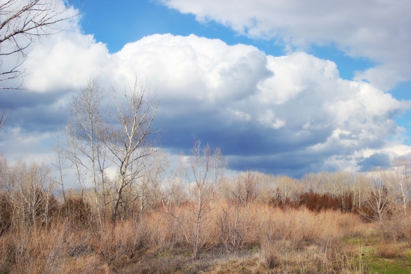 Красивое облако проплывало