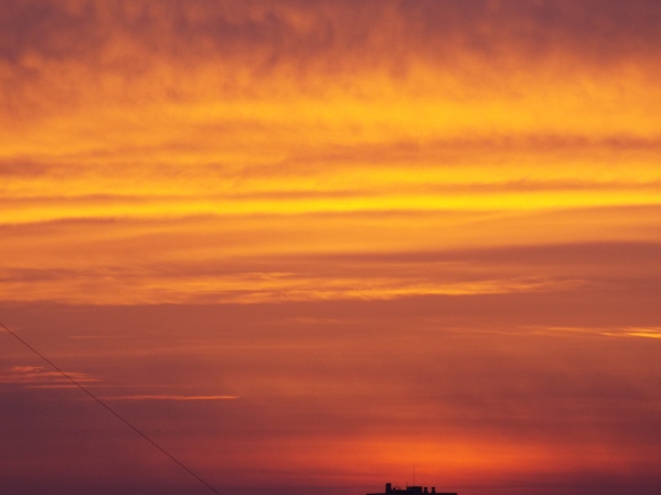 Фото #1820