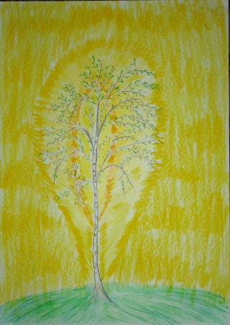Березка маминой Души, июнь 2016г.